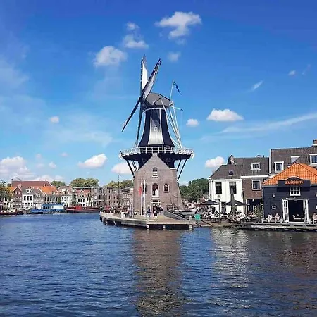 Met Tuin In Centrum 公寓 *